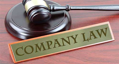 Company Law Services