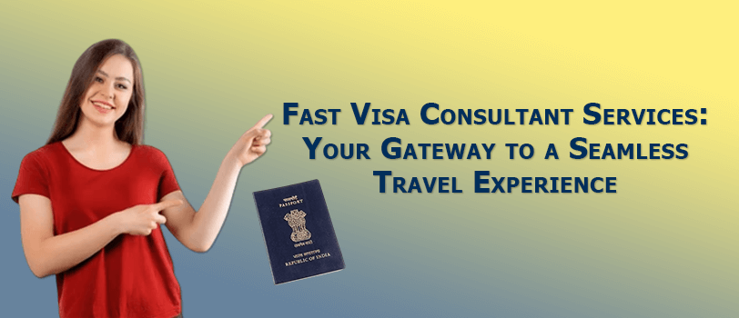 Visa Consultant Services